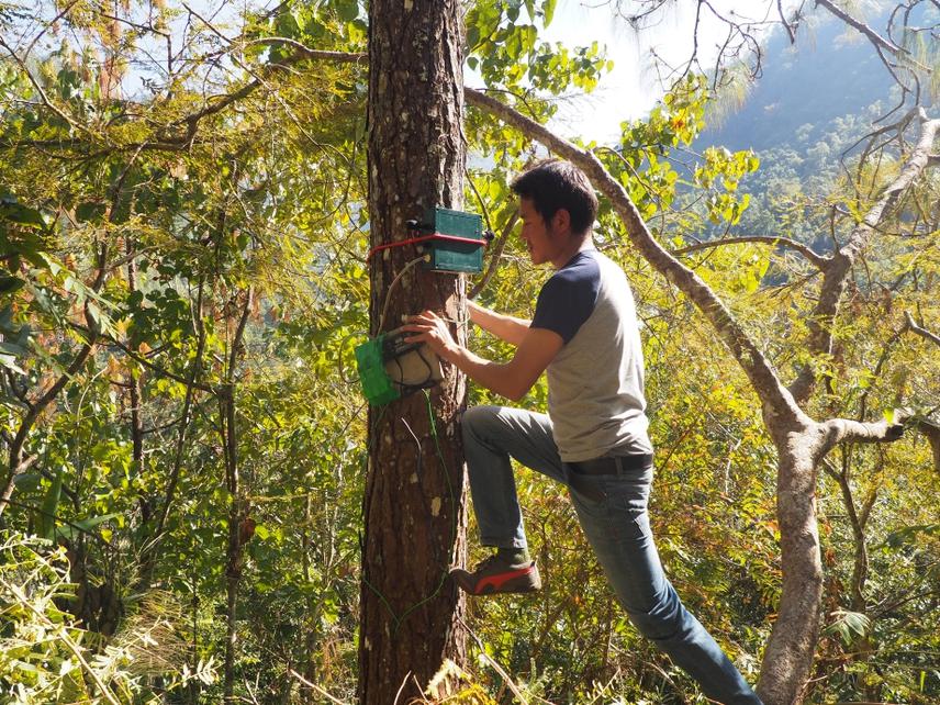 Wildlife Acoustics Recorder deployment at the Nesting site.