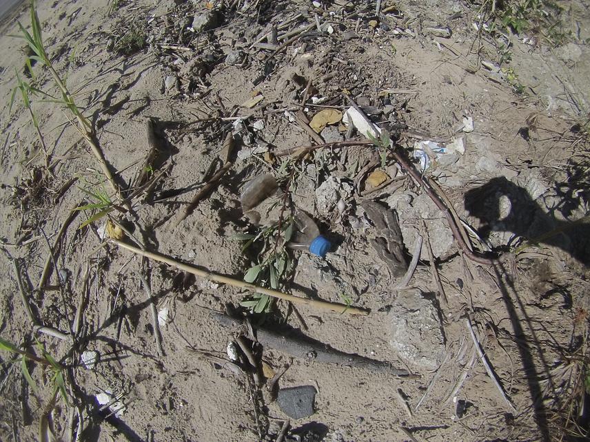Macroplastic items observed in a beach of the Paraná River (Entre Ríos, Argentina) (31°42'0.9'' S; 60°28'27'' W).
