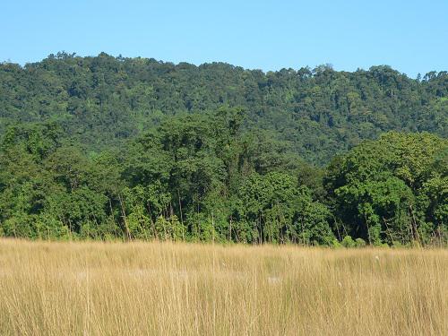 General Landscape of MNP
