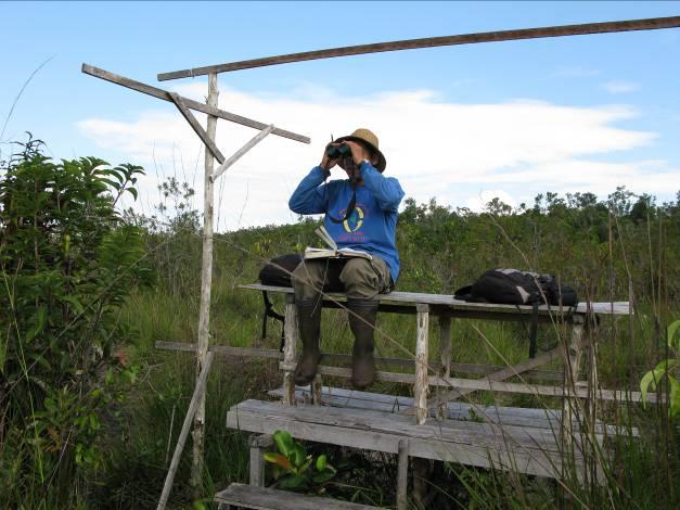 Bird observation position.