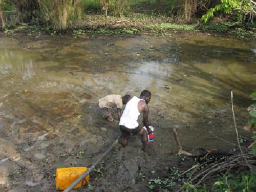 Sampling backwaters in Aframso for Nile tilapia. © Gifty Anane-Taabeah