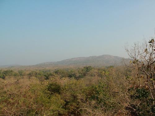 Gir landscape. ©Dhawal Mehta.