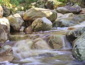An upper foothill river.