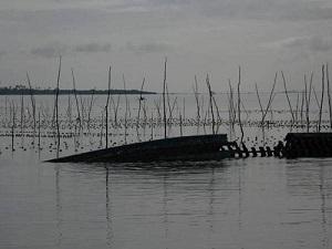 Seaweed Farms.