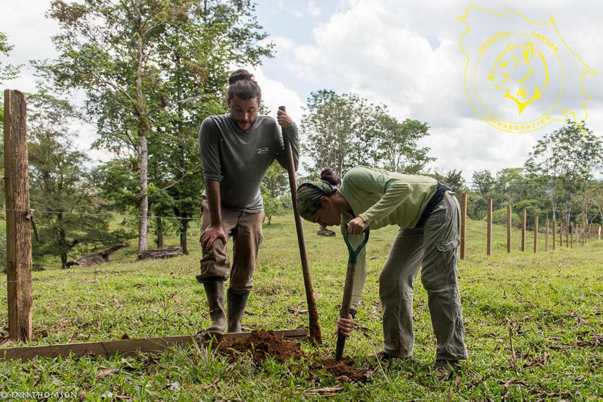 Stephanny Arroyo-Arce & Daniel Corrales from Panthera stablishing a partnership while building a fence to stop jaguar attacks in CR © Ian Thomson