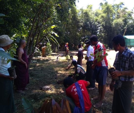 Agroforestry tree plantings with local communitiy