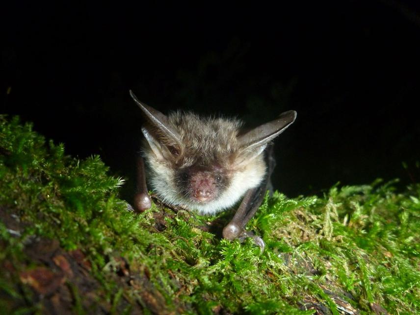 23263-2 Fieldwork 3.JPG