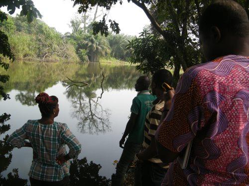 Menji riparian vegetation and water which support diverse plant and crocodile species
