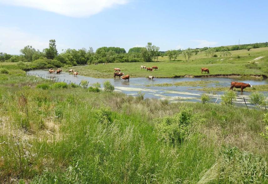 Landscape of Stara Planina.
