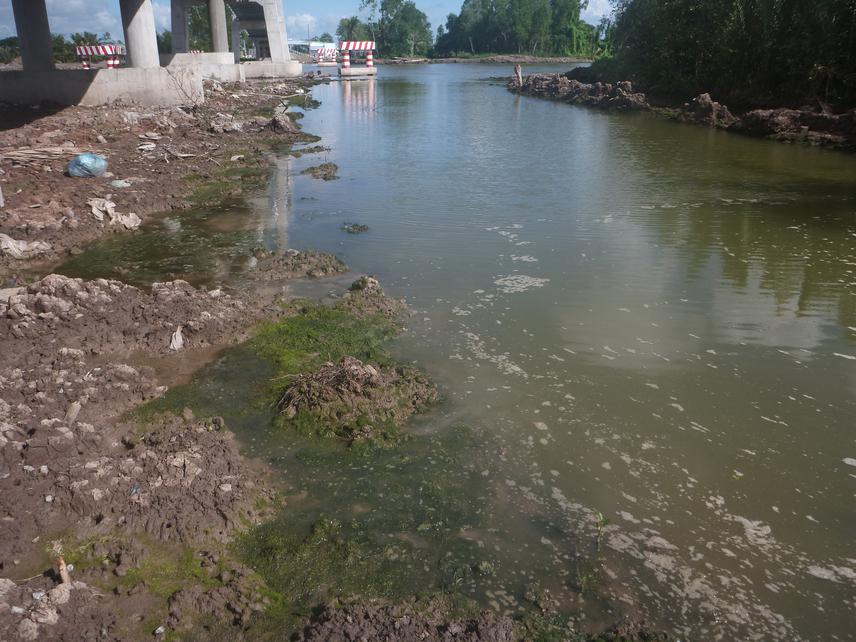 An Ulva species occurs in a channel in Ca Mau province.