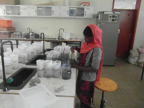 Analysis of AMF Soil Properties in the Lab.