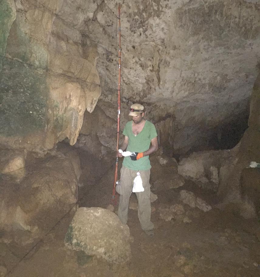 Catching lesser long-nosed bat in Juxtlahuaca Cave. ©Daniel Zamora.