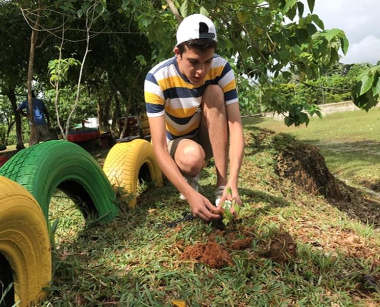 Tree planting.