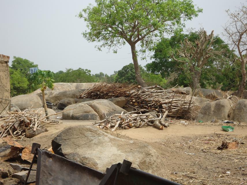 Overexploitation of local species for socio-economic activities.