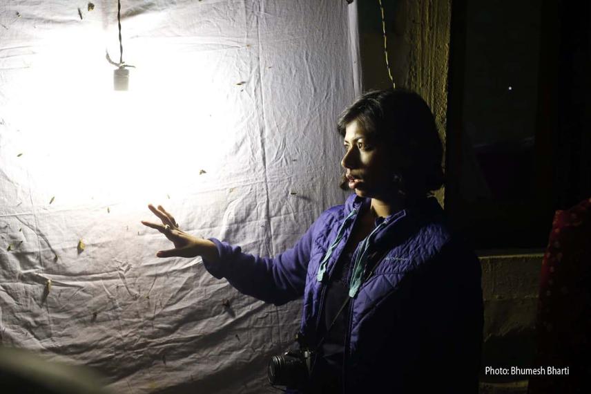 Moth-watching session as a part of the Devalsari Titli Utsav.