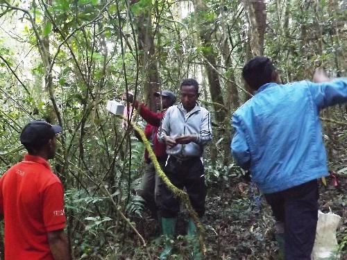Guides trapping lemur.