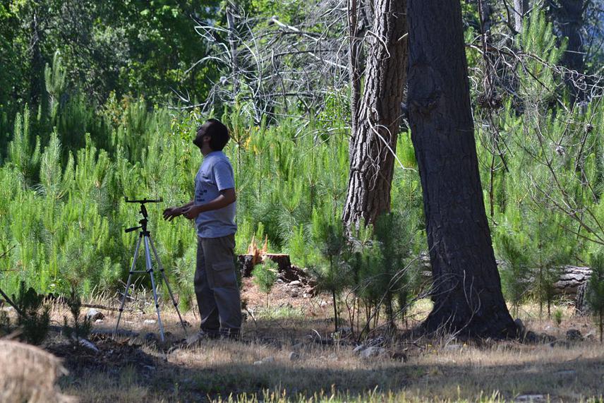 Ramiro taking hemispheric photos, used to characterize the canopy structure of the stands.