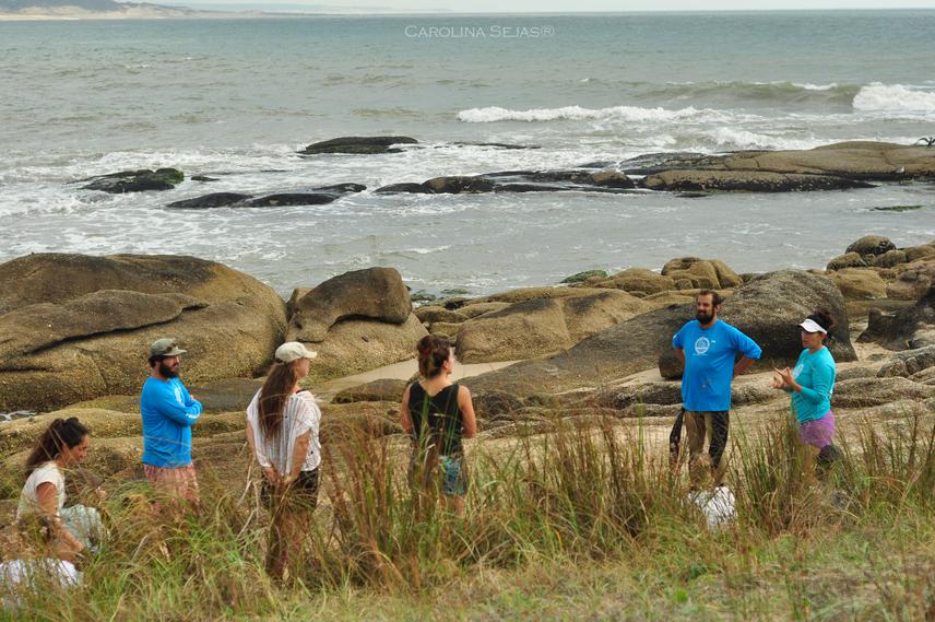 Seaweed visual workshop.