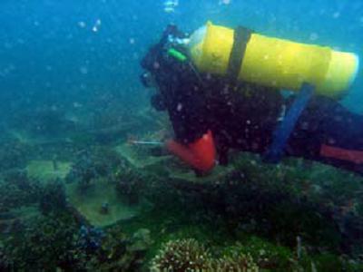 Reef fishes monitoring was conducted three times in the rehabilitation area, before and after the rehabilitation action.