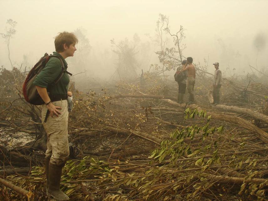 Dr Susan Cheyne surveying the forest after a devastating fire near camp.