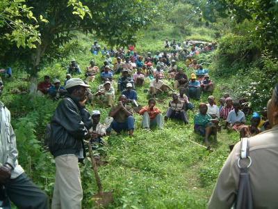 A public meeting and a tree planting day.
