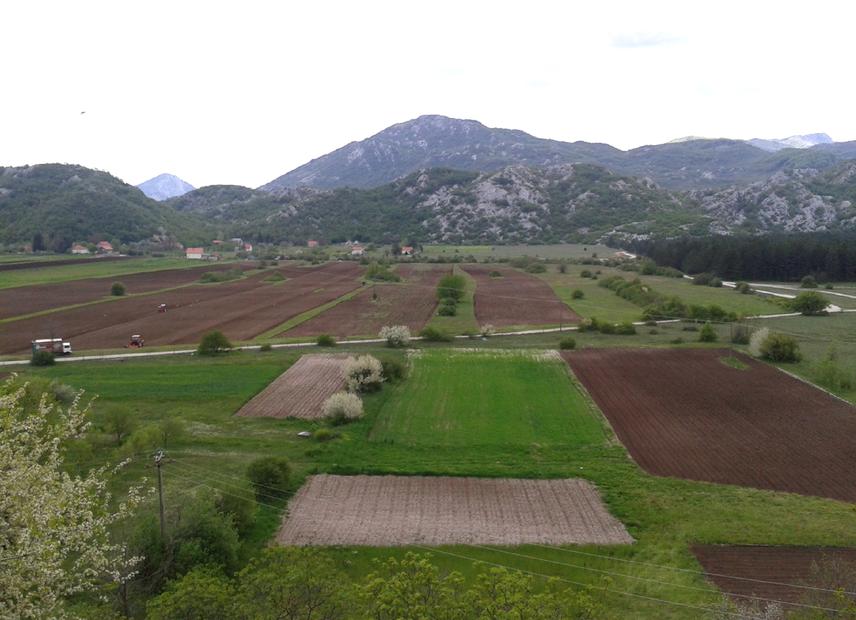 Intensification of agricultural activities in Grahovsko Polje. ©Milica Stanišić.