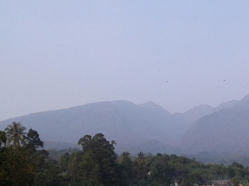 25567-120180722_071142-1.jpg