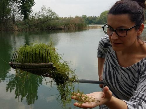 Labudovo okno field session, May 2019.