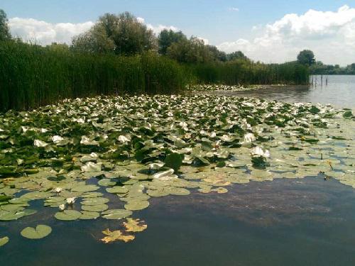 Pond in Labudovo okno. © I. Trbojevic.