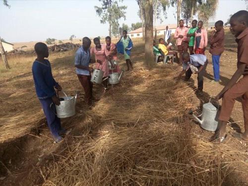 Students watering the Friends of the Natures Nursery beds of tree planting project in their school.