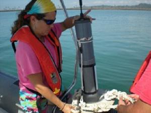 Stationary Hydrophone before deployment.