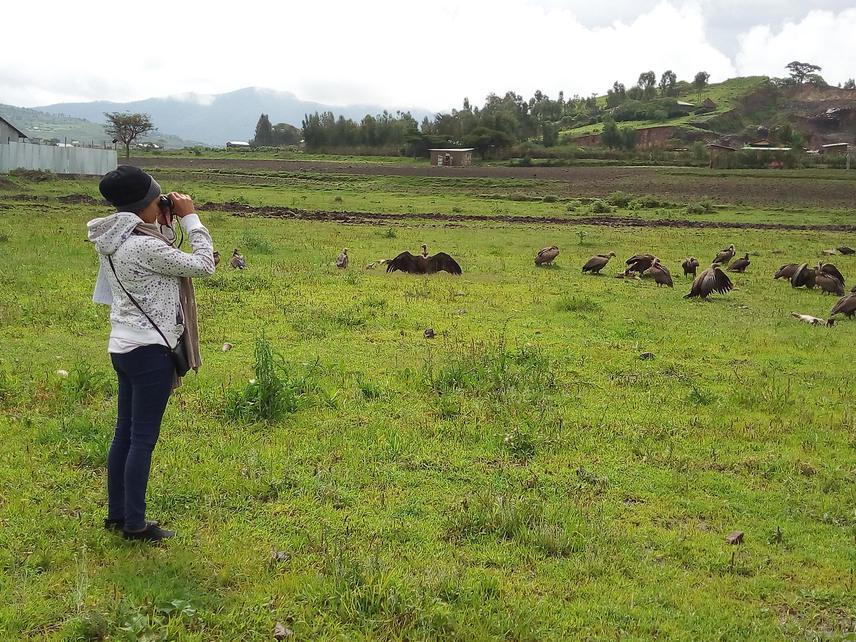 Project leader undertaking field survey around Sebeta abattoir.