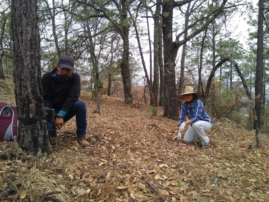 MSc. Jessica Duran-Antonio assisting the undergraduate student in the placement of camera traps