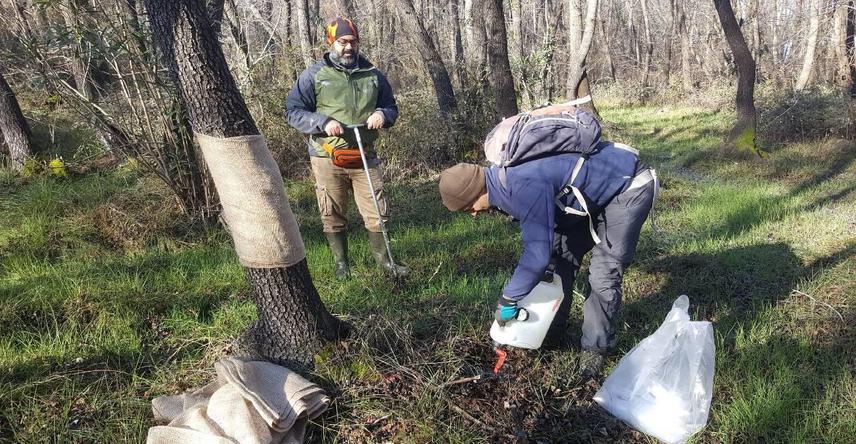 Arachnology team has started the surveys inside the sweetgum forests.