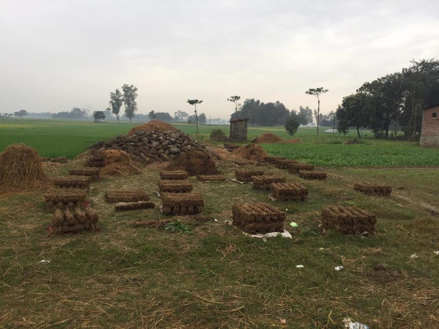 Piles of Guitha (Dry dung fuel) prepared for cooking and heating.