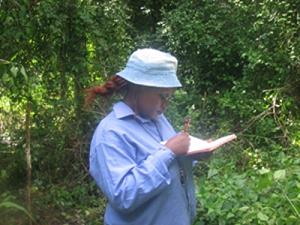 Etotépé at work.