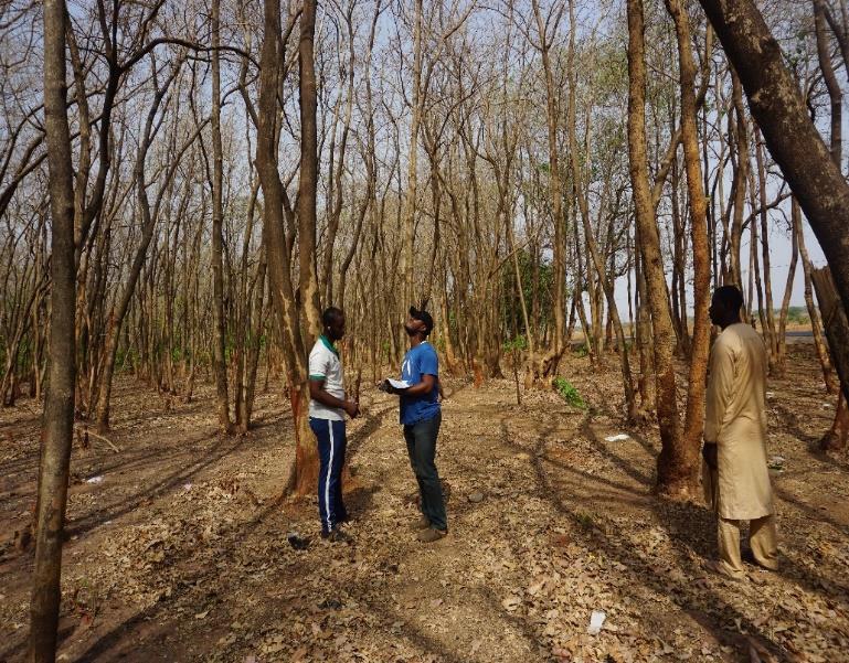 Mapping of remnants of Savannah in Zone C Niger state.