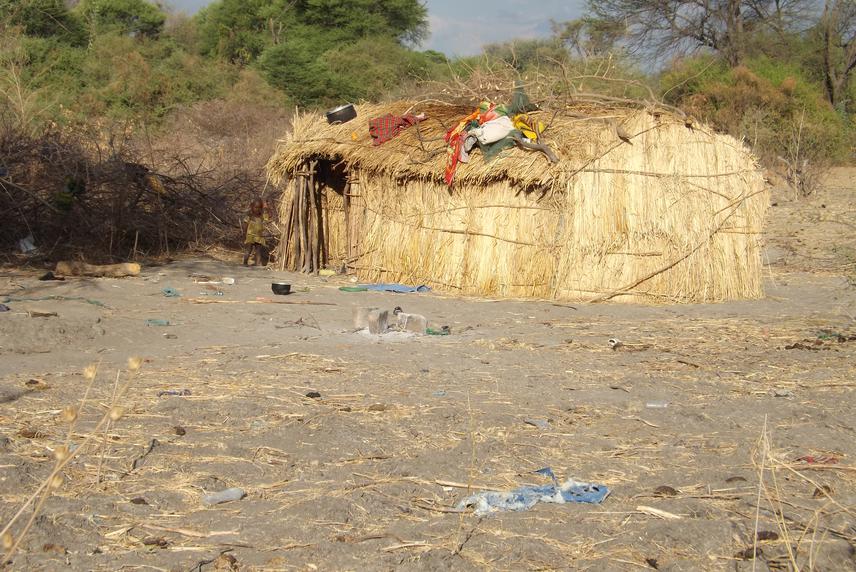 Temporal pastoralist house in Ruaha. ©Michael Kimaro.