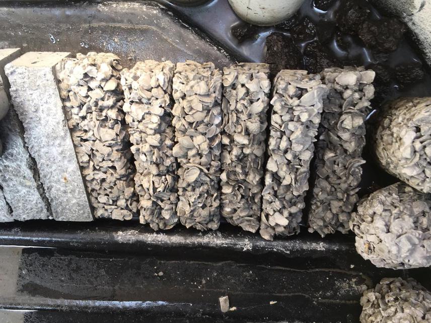 Preliminary building material from 2 months of laboratory fabrications.
