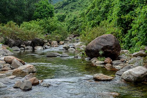Poropuntius deauratus’ habitat in Bach Ma National Park (Thừa Thiên - Huế province).