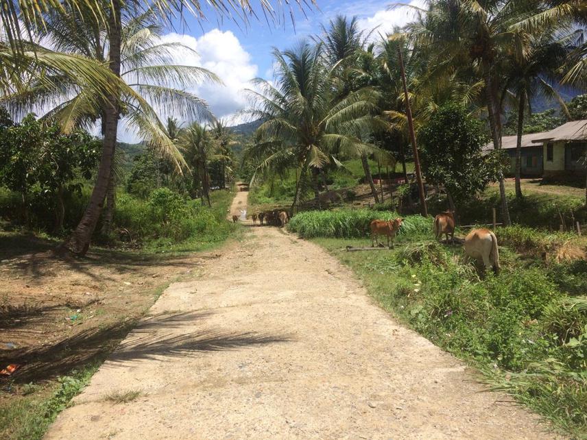Conflict area.