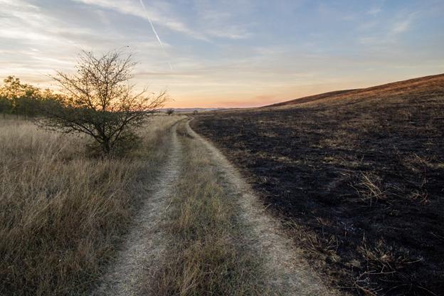 Local (anthropogenic) burnings in south Banat sites.