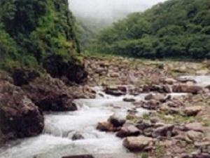 Montane forest river.
