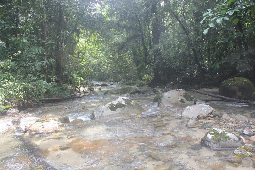 Colonso River, at the entrance of the Colonso-Chalupas Reserve