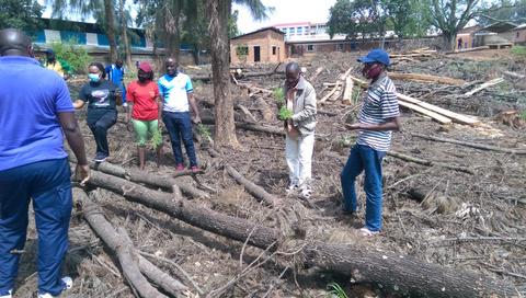 Planting trees in a degraded bat habitat-roost at Camp Kigali © Jean Claude Tumushime