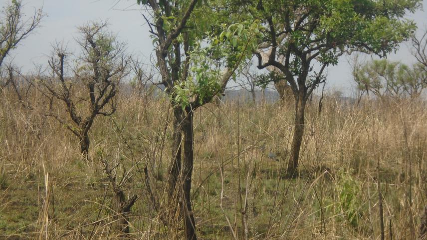 28922-1DSC02336.JPG