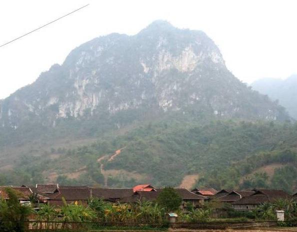 Local houses built only using Burretiodendron hsienmu.