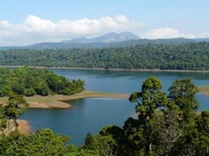 A view of pristine rainforests in the southern sub-region of the Western Ghats, home to endangered large mammals such as the tiger and Asian elephant. © A.J.T. Johnsingh