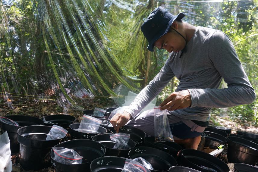 Working in the mesocosm experiment.