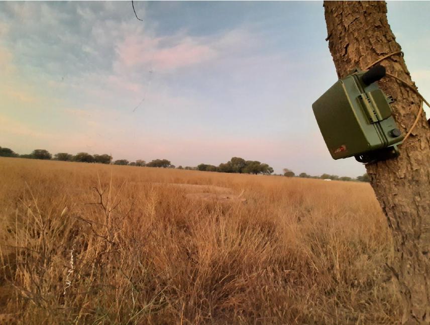 One of the recorders at the grassland adjacent to the water body.